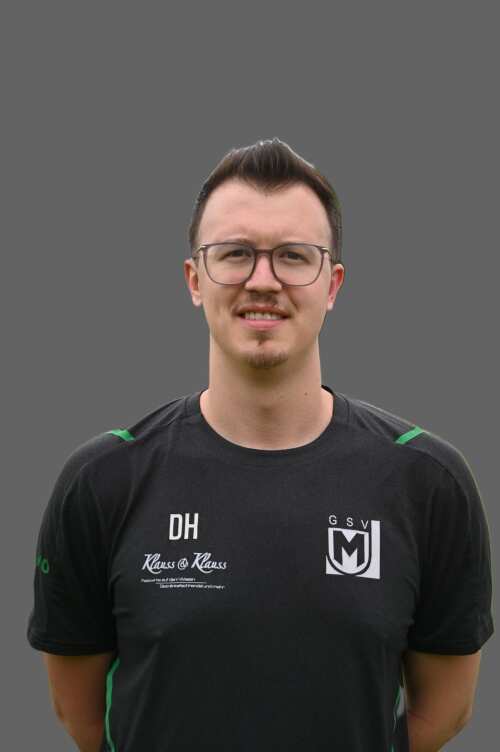 Dzenis Hadzic <br> Physio